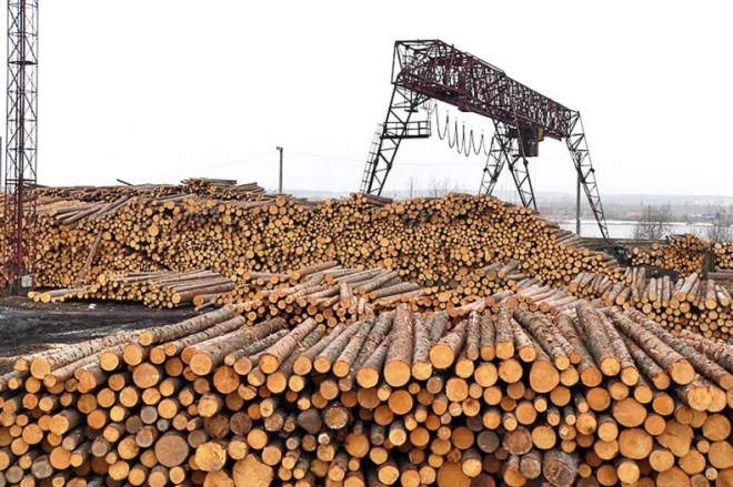В Башкирии создают лесопромышленный кластер