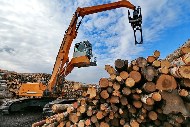 В Томской области создали второй в РФ лесопромышленный кластер