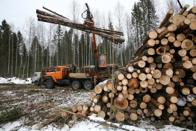 Лесной кластер поможет получить федсредства для томского ЛПК