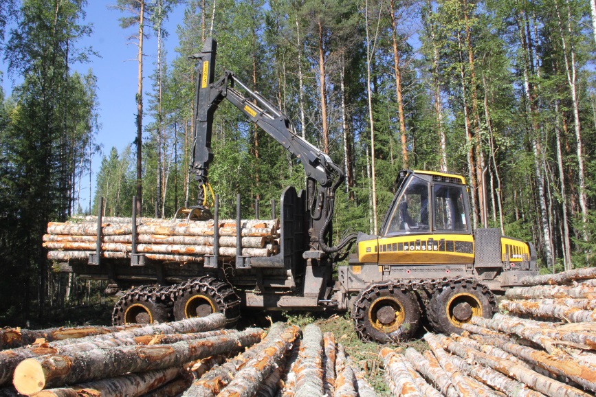 Предложения Главы Карелии по пересмотру законодательства в отношении лесопромышленных кластеров поддержаны в Москве